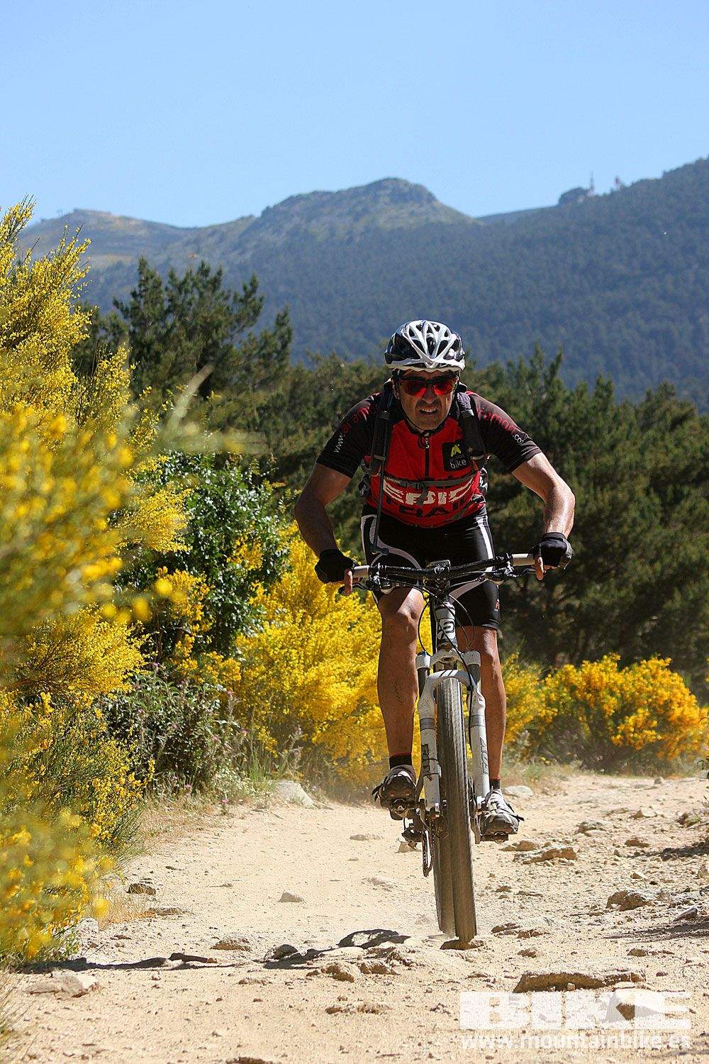 Test The Best 2015 MTB Mujer 4