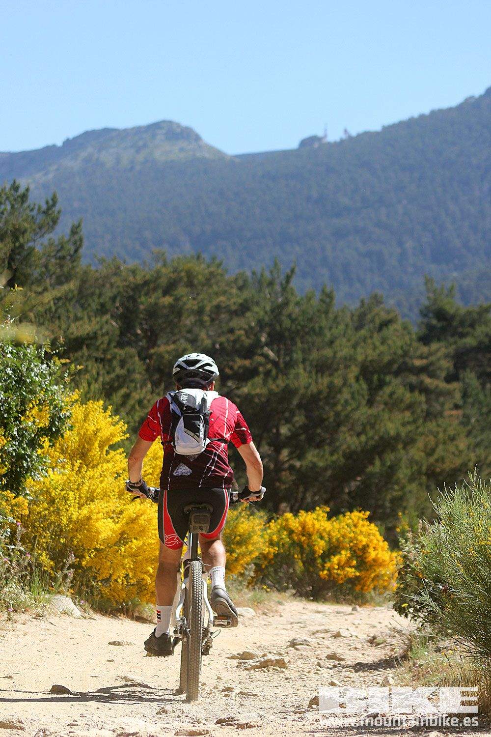 Test The Best 2015 MTB Mujer 4