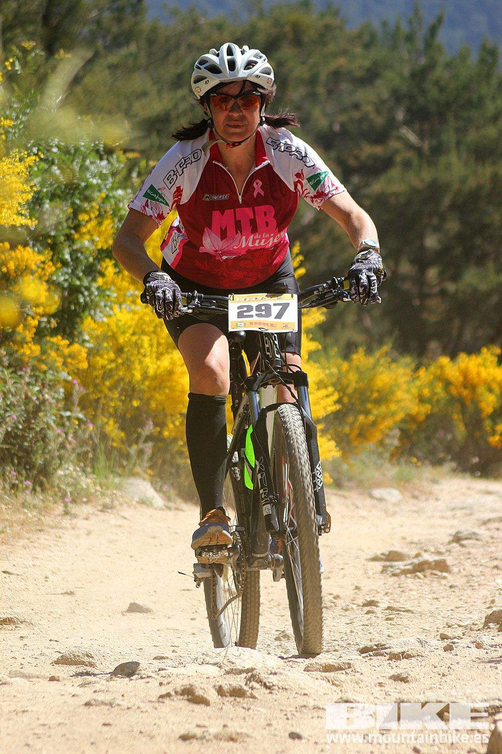 Test The Best 2015 MTB Mujer 4