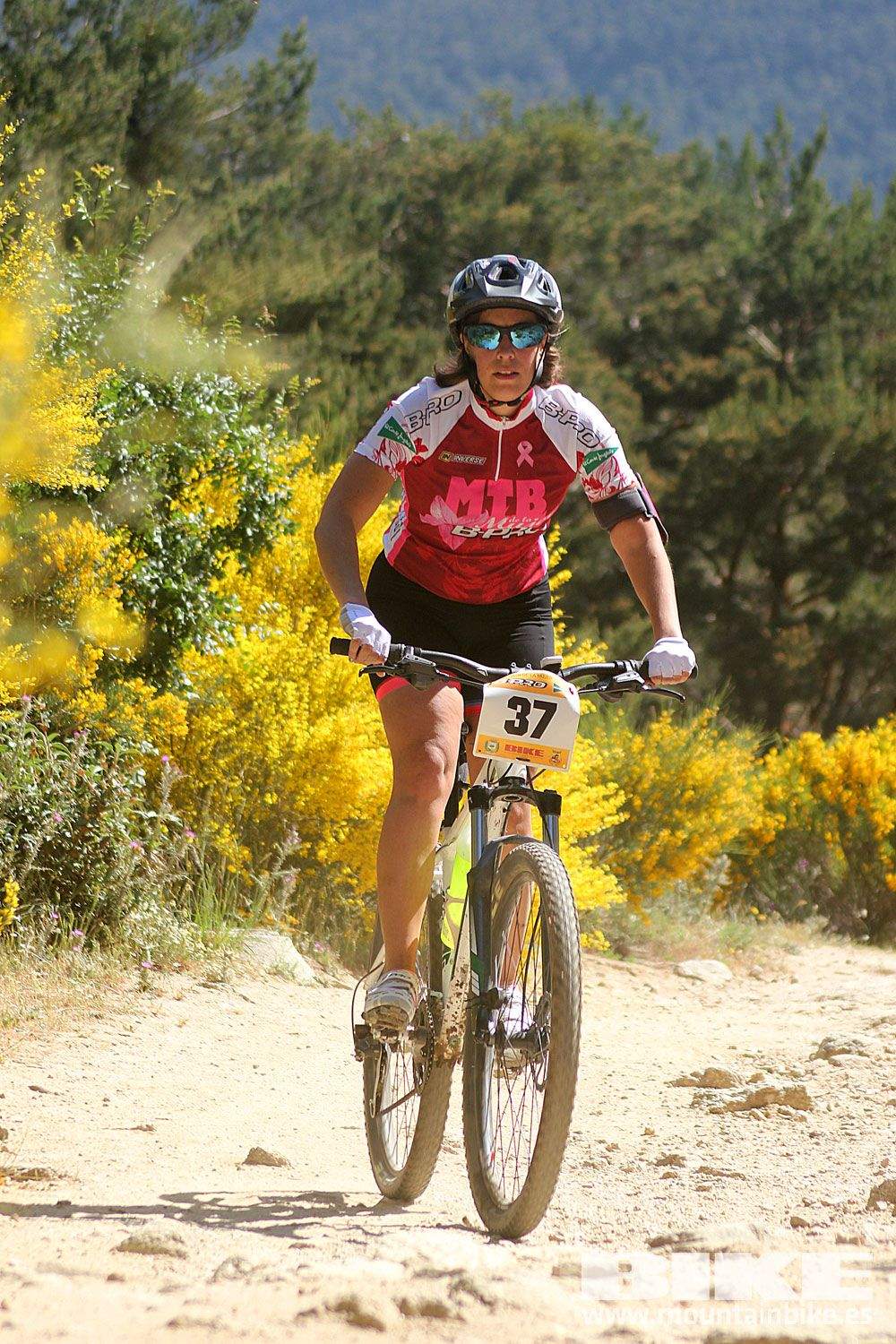 Test The Best 2015 MTB Mujer 4