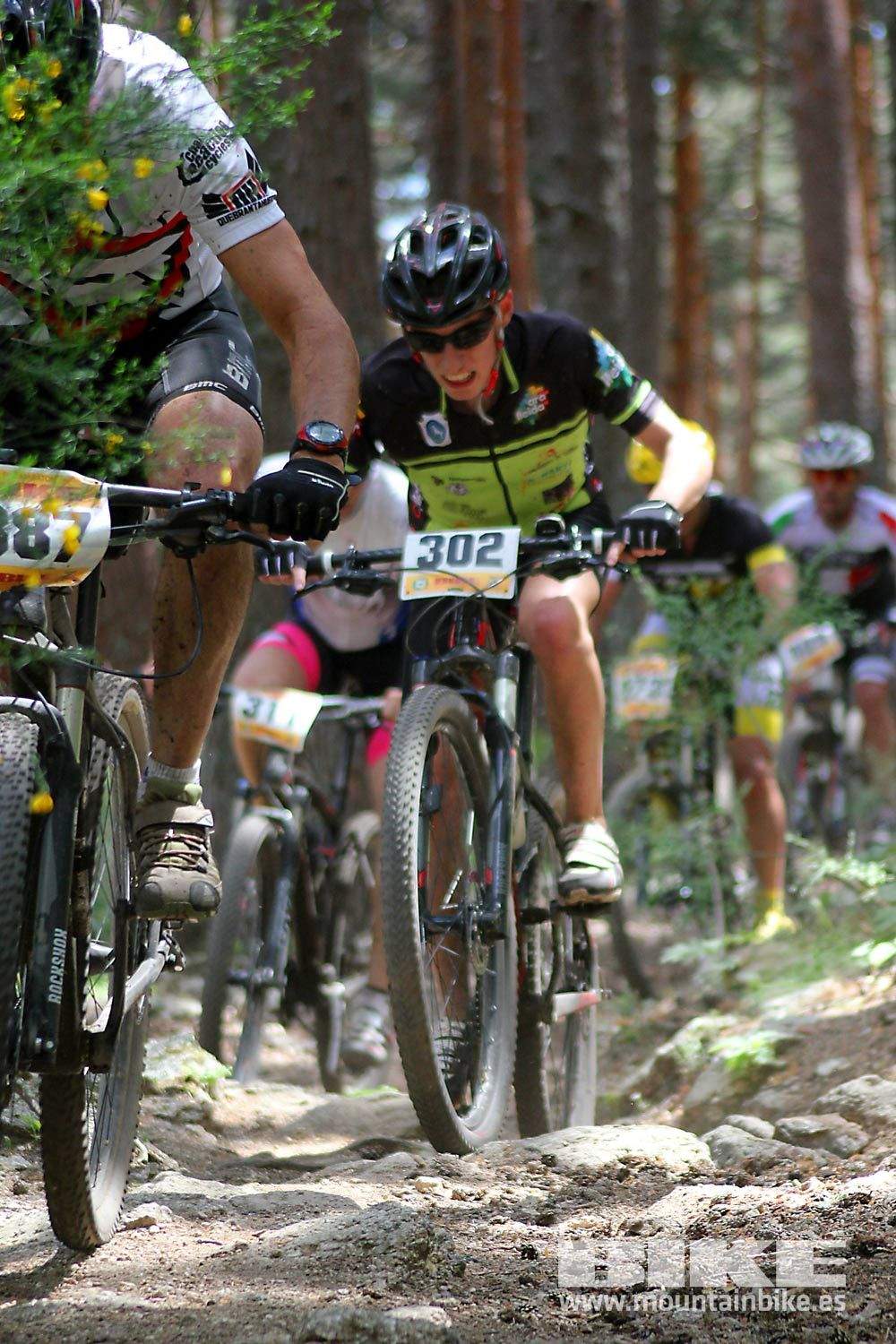 BIKE Maratón Sierra de Madrid 2015 Galería 5