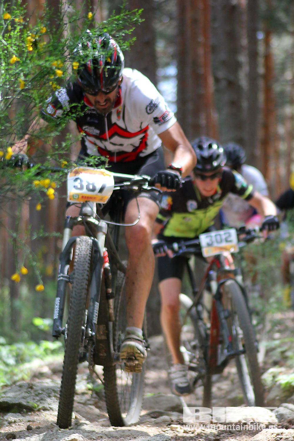 BIKE Maratón Sierra de Madrid 2015 Galería 5