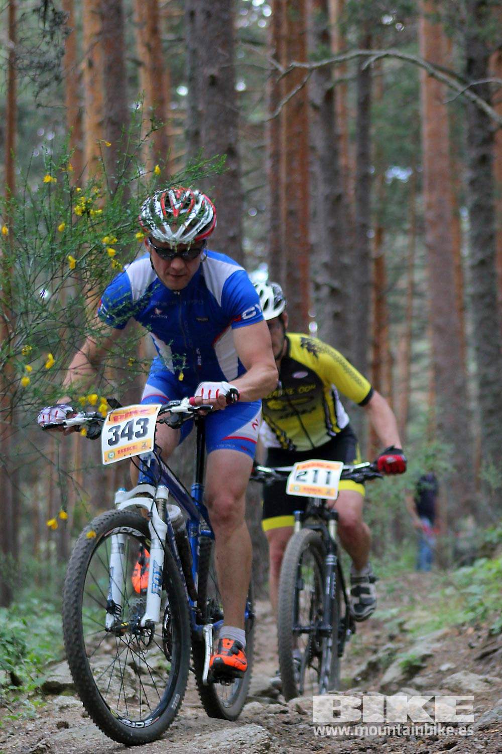 BIKE Maratón Sierra de Madrid 2015 Galería 5