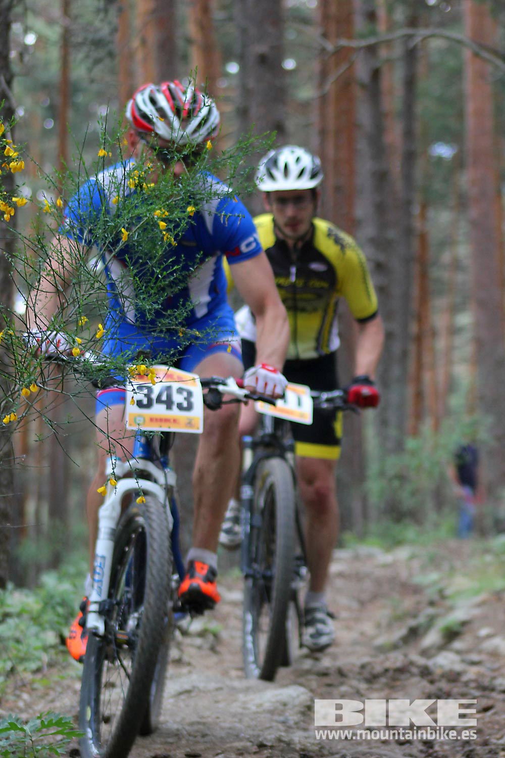 BIKE Maratón Sierra de Madrid 2015 Galería 5