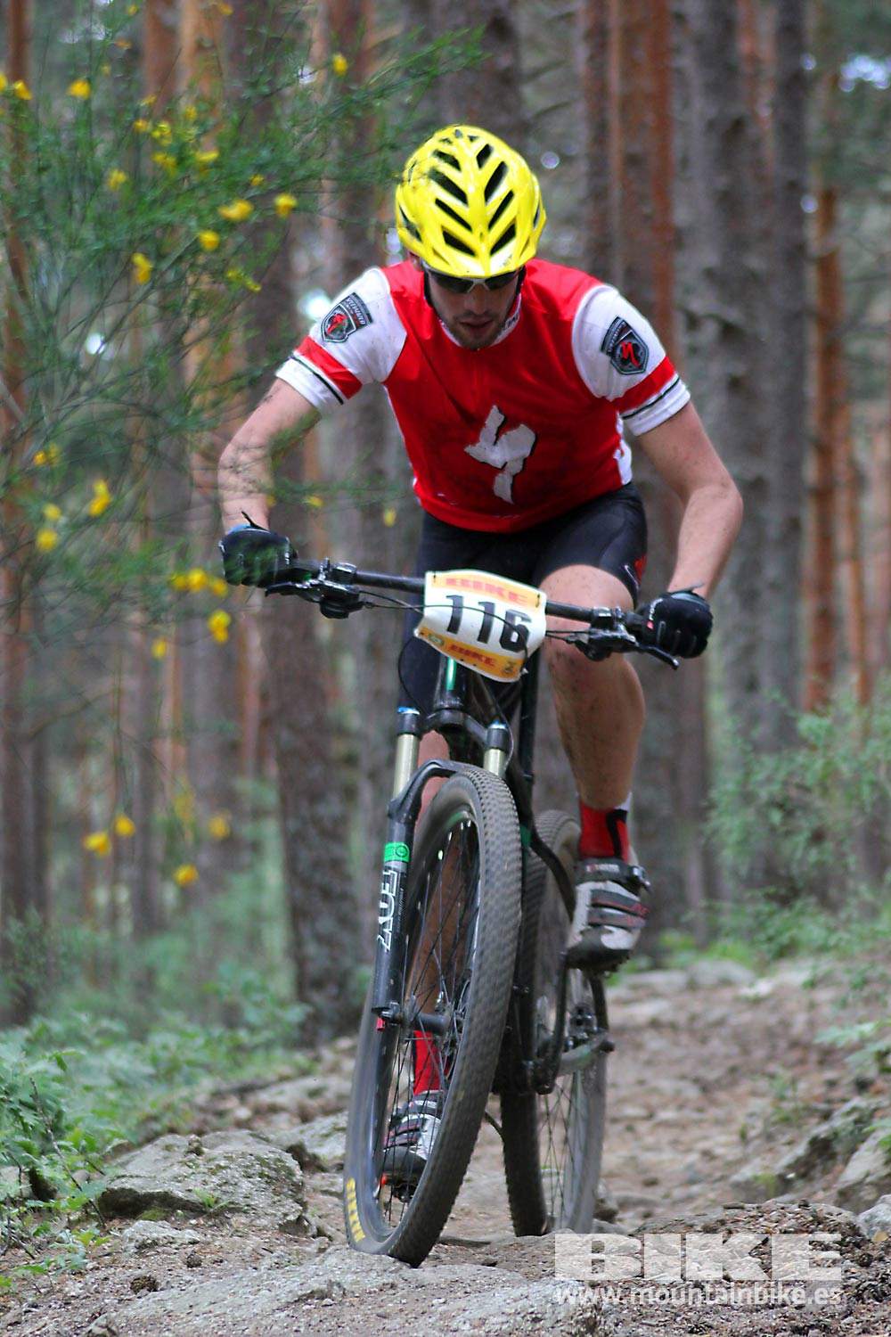 BIKE Maratón Sierra de Madrid 2015 Galería 5