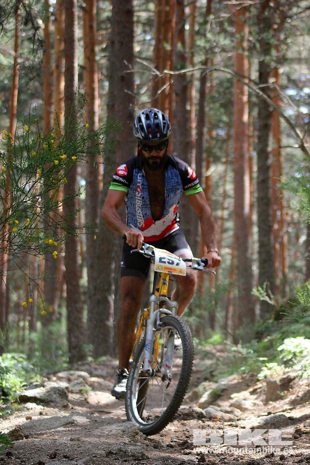BIKE Maratón Sierra de Madrid 2015 Galería 5