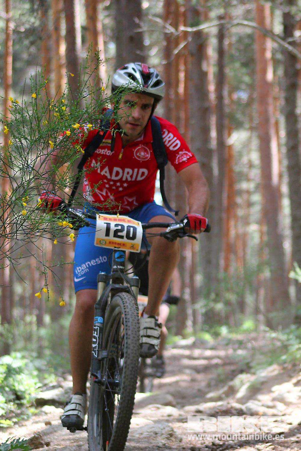 BIKE Maratón Sierra de Madrid 2015 Galería 5