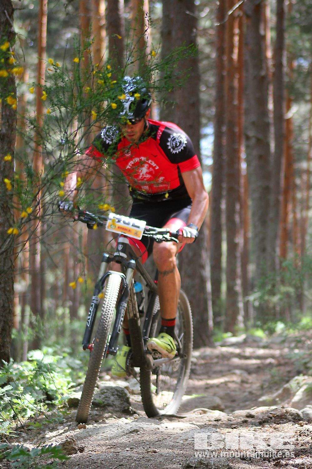 BIKE Maratón Sierra de Madrid 2015 Galería 5