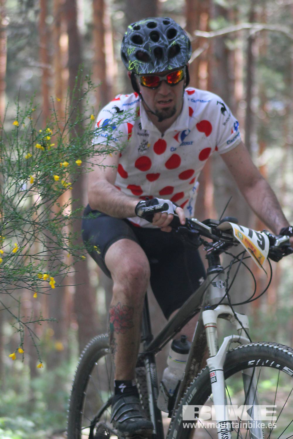 BIKE Maratón Sierra de Madrid 2015 Galería 5