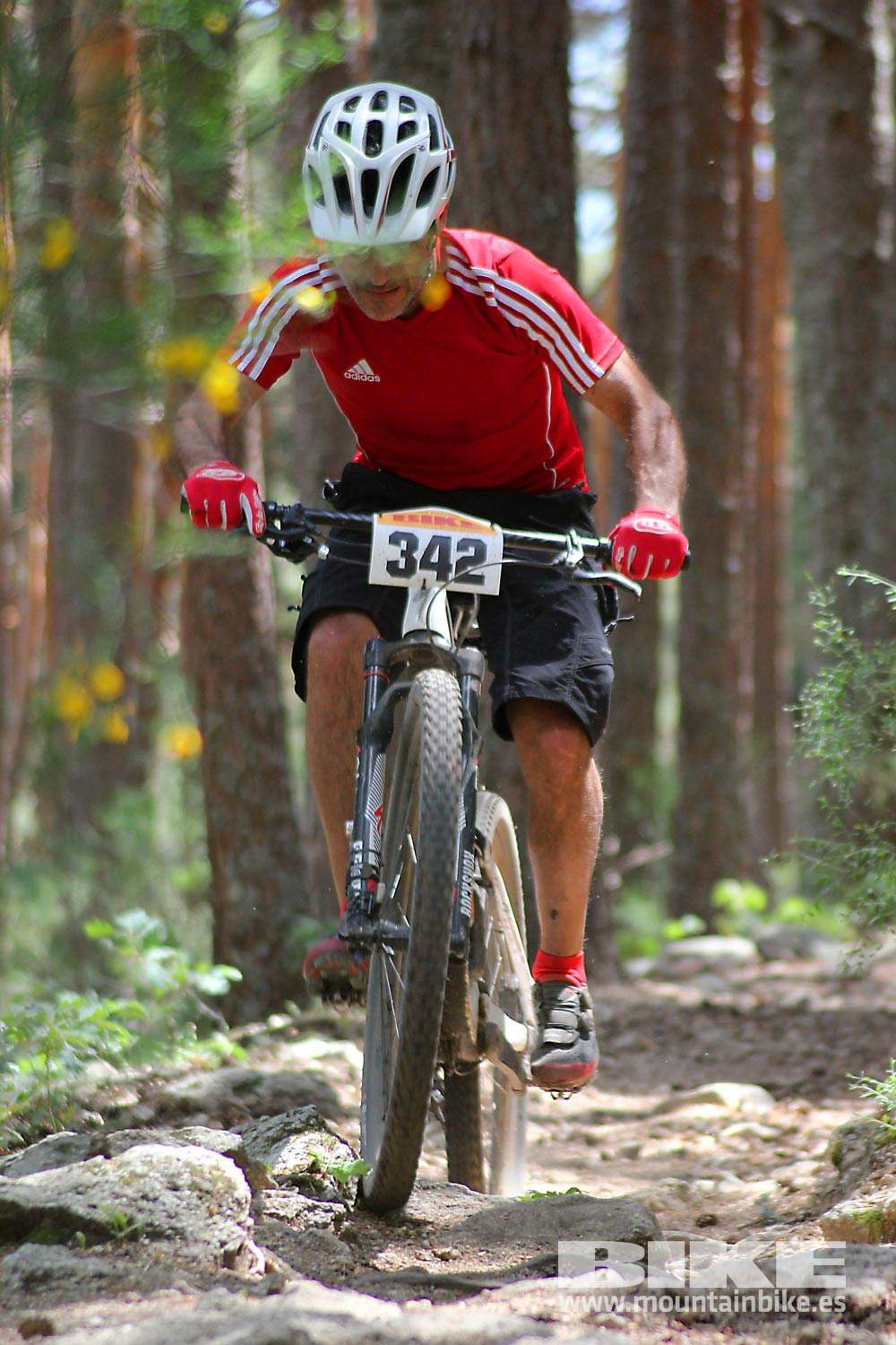 BIKE Maratón Sierra de Madrid 2015 Galería 5