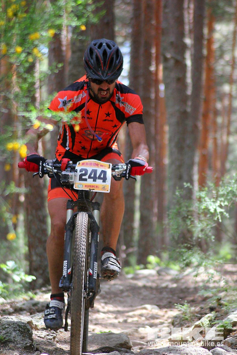BIKE Maratón Sierra de Madrid 2015 Galería 5