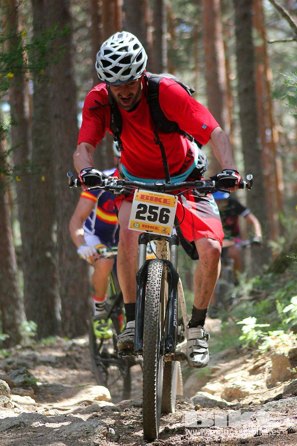 BIKE Maratón Sierra de Madrid 2015 Galería 6