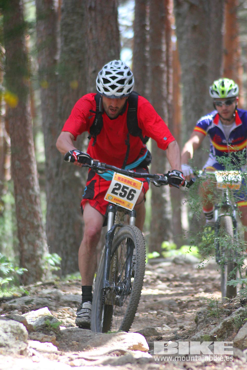 BIKE Maratón Sierra de Madrid 2015 Galería 6