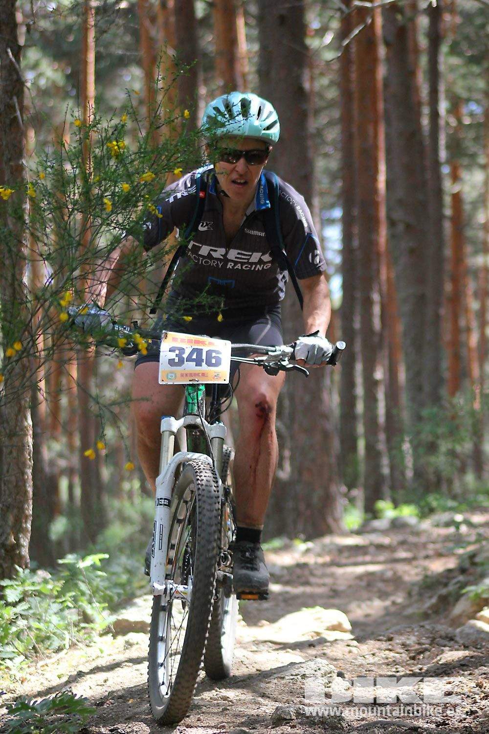 BIKE Maratón Sierra de Madrid 2015 Galería 6
