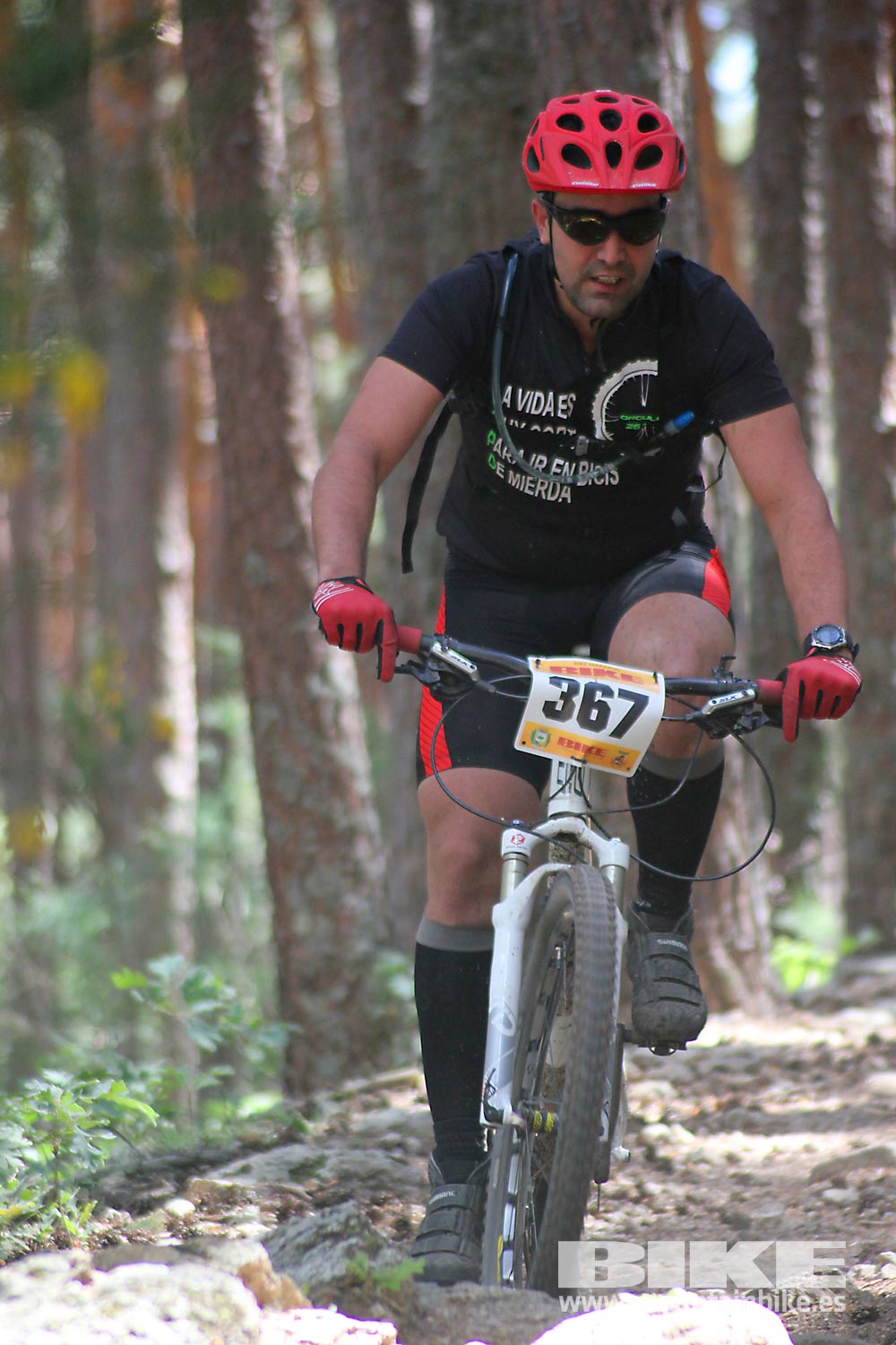 BIKE Maratón Sierra de Madrid 2015 Galería 6