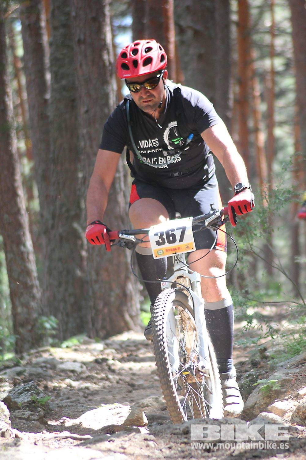 BIKE Maratón Sierra de Madrid 2015 Galería 6