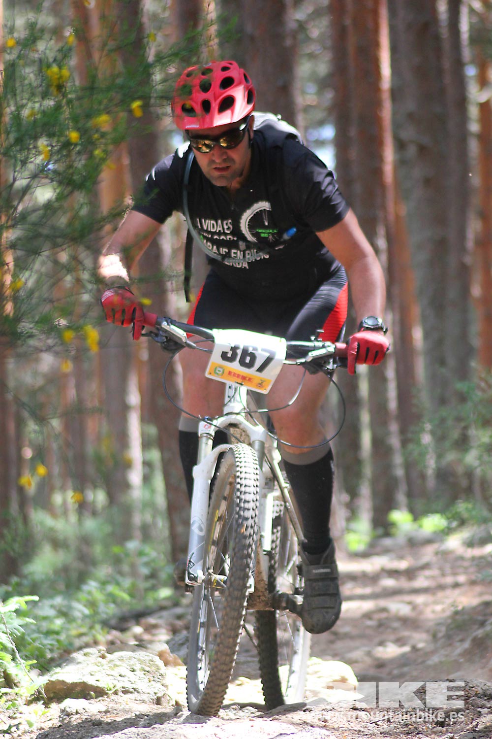 BIKE Maratón Sierra de Madrid 2015 Galería 6