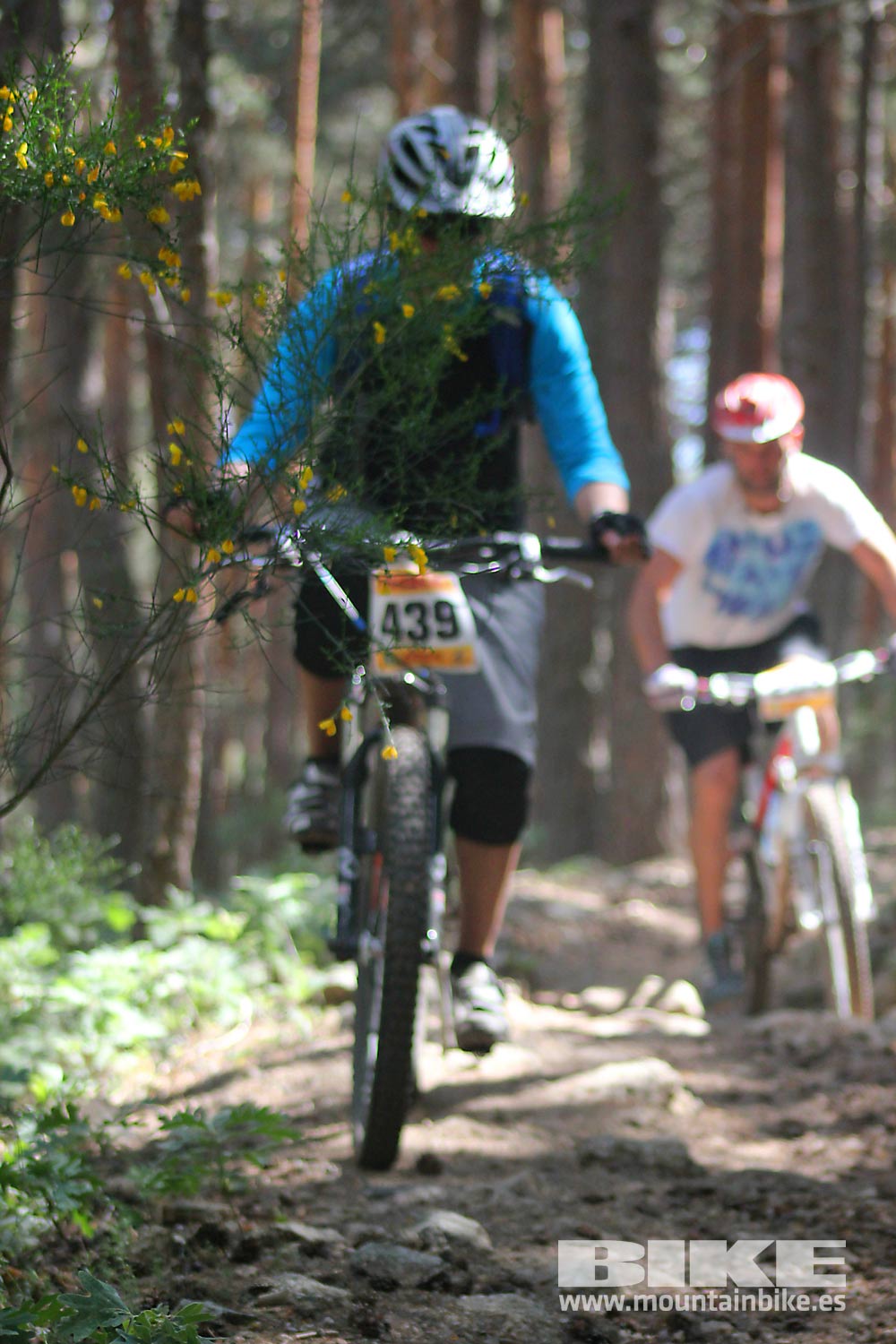 BIKE Maratón Sierra de Madrid 2015 Galería 6