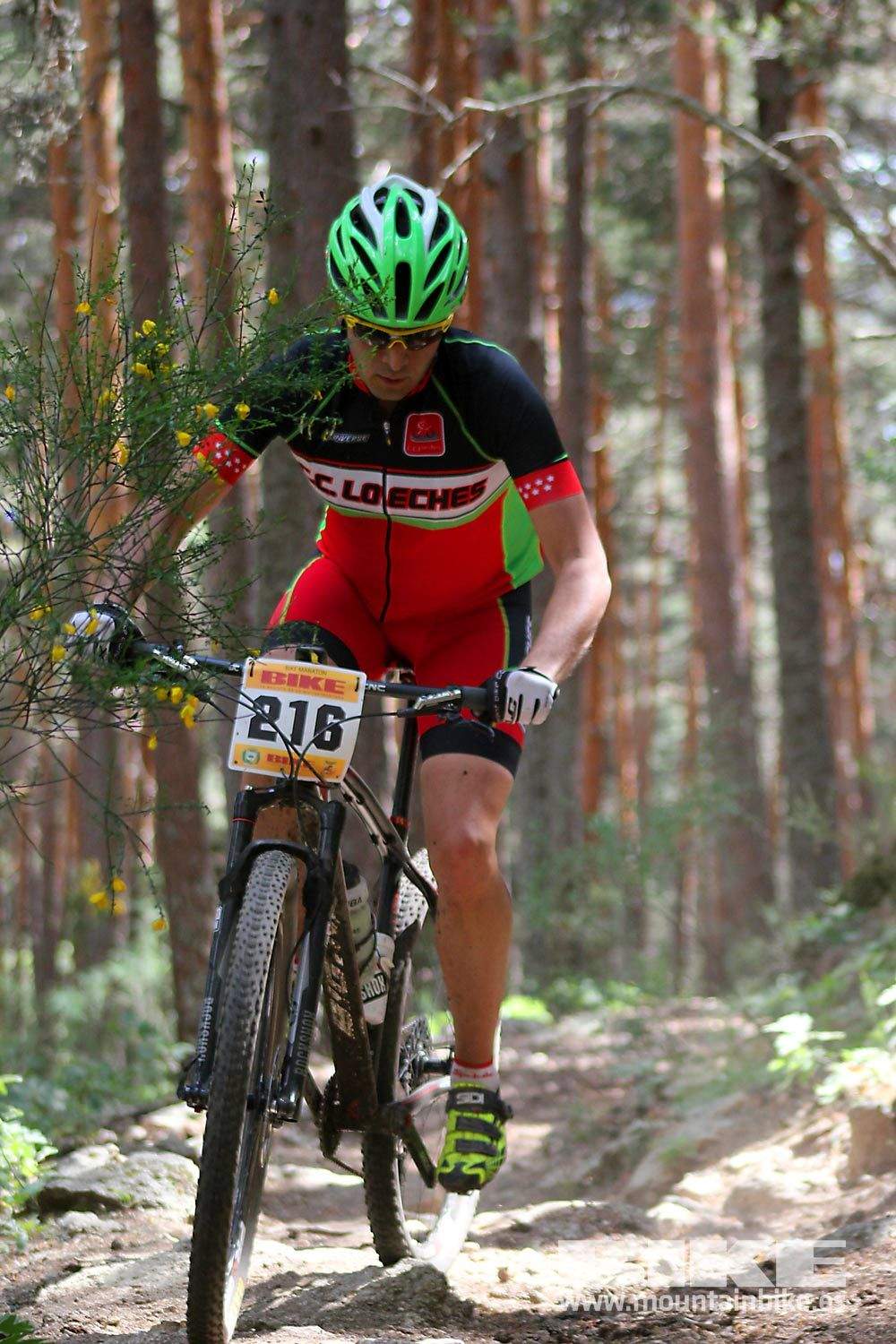 BIKE Maratón Sierra de Madrid 2015 Galería 6