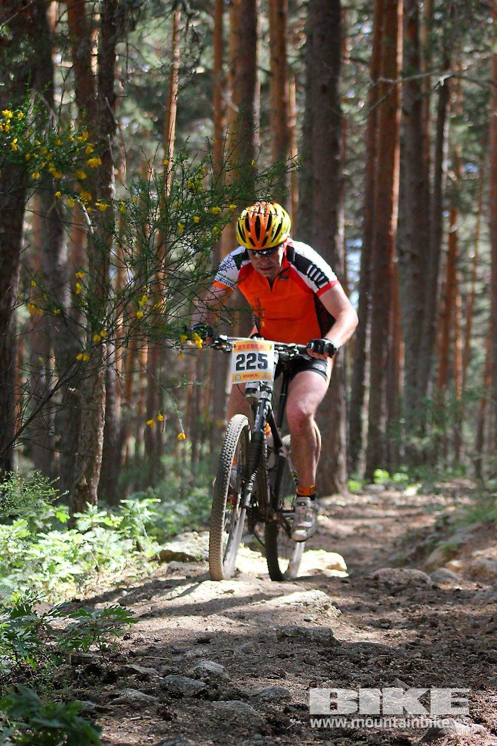 BIKE Maratón Sierra de Madrid 2015 Galería 7