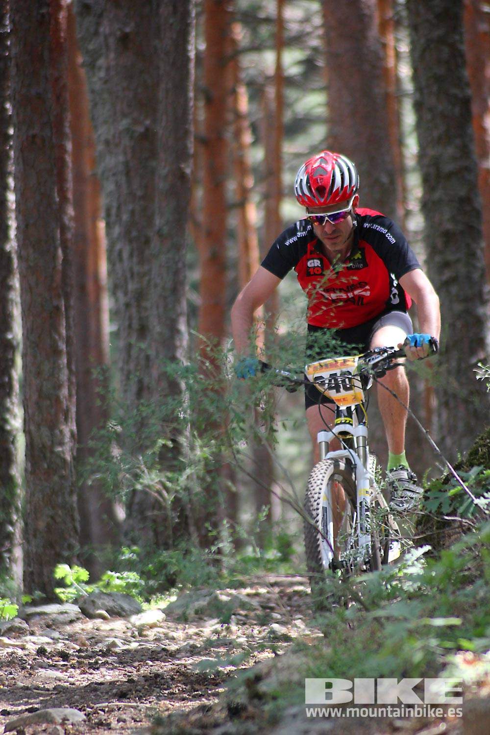 BIKE Maratón Sierra de Madrid 2015 Galería 7