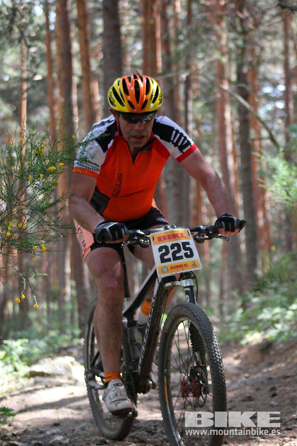 BIKE Maratón Sierra de Madrid 2015 Galería 7