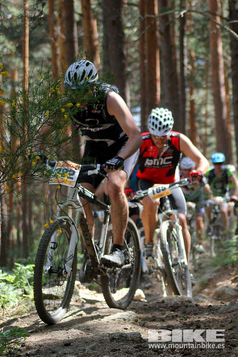 BIKE Maratón Sierra de Madrid 2015 Galería 7