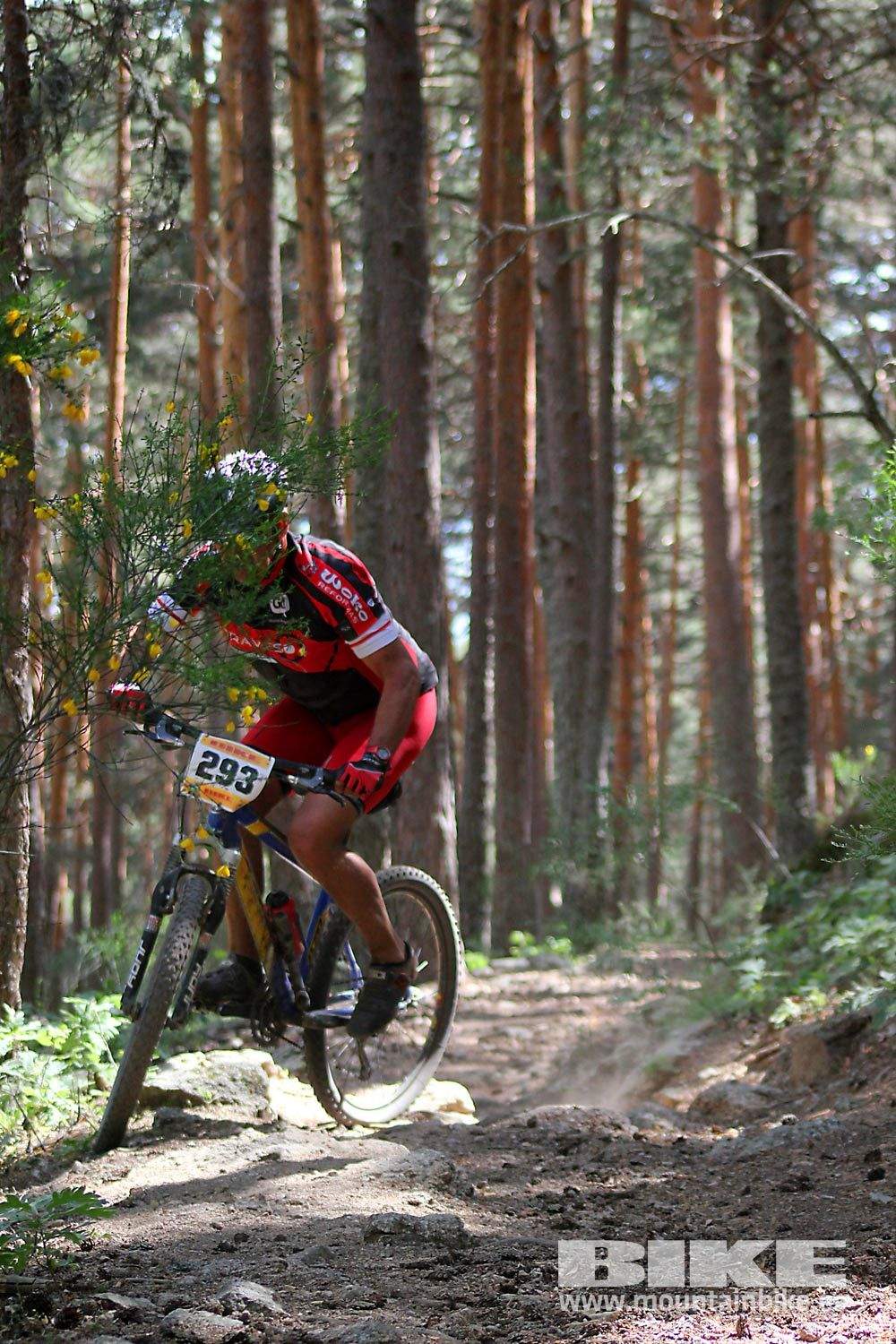 BIKE Maratón Sierra de Madrid 2015 Galería 7