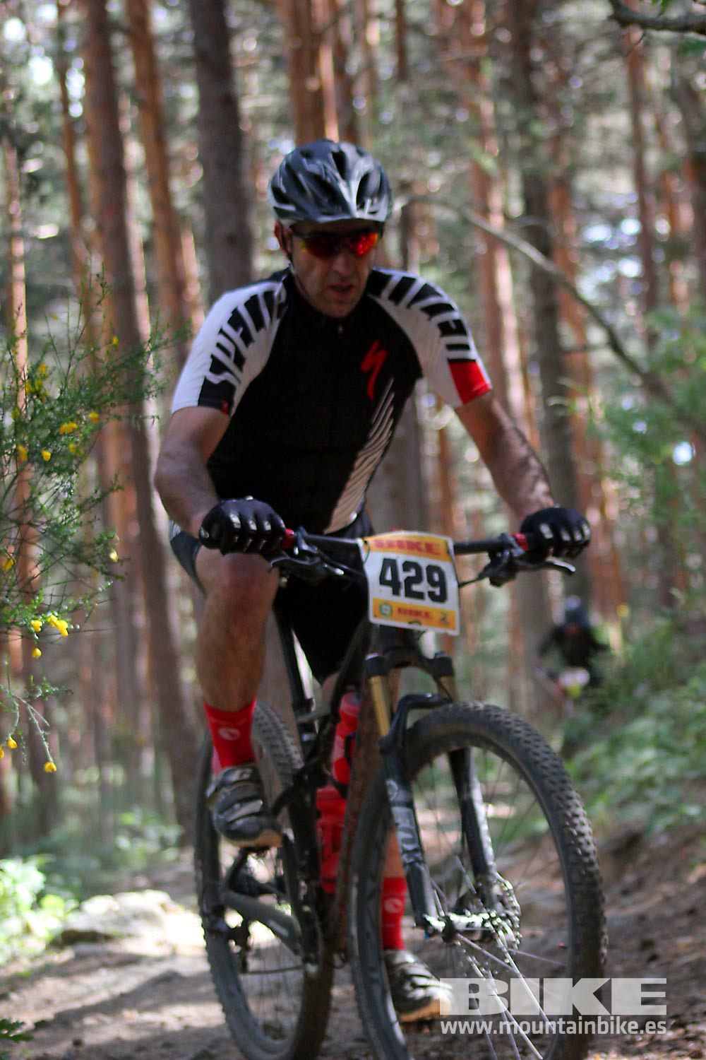 BIKE Maratón Sierra de Madrid 2015 Galería 7