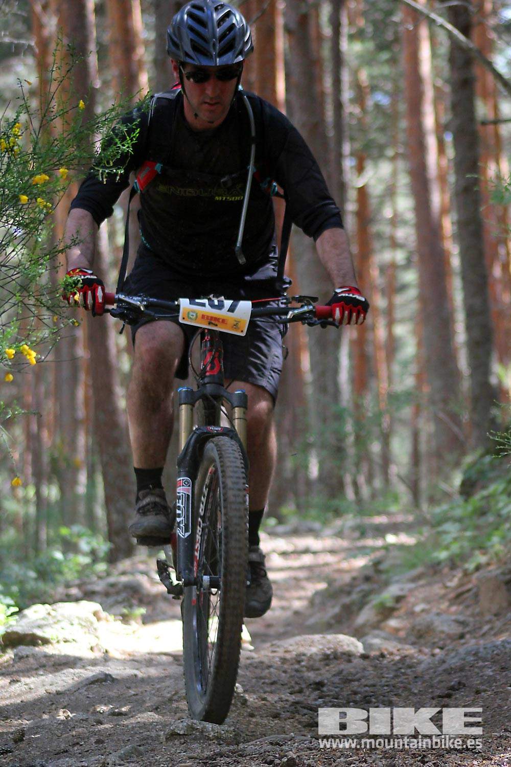 BIKE Maratón Sierra de Madrid 2015 Galería 7