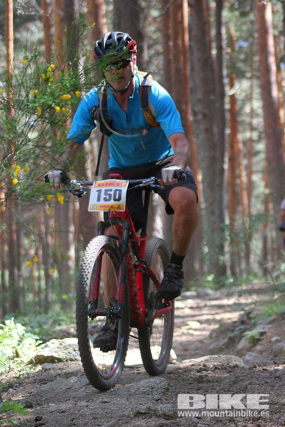 BIKE Maratón Sierra de Madrid 2015 Galería 7