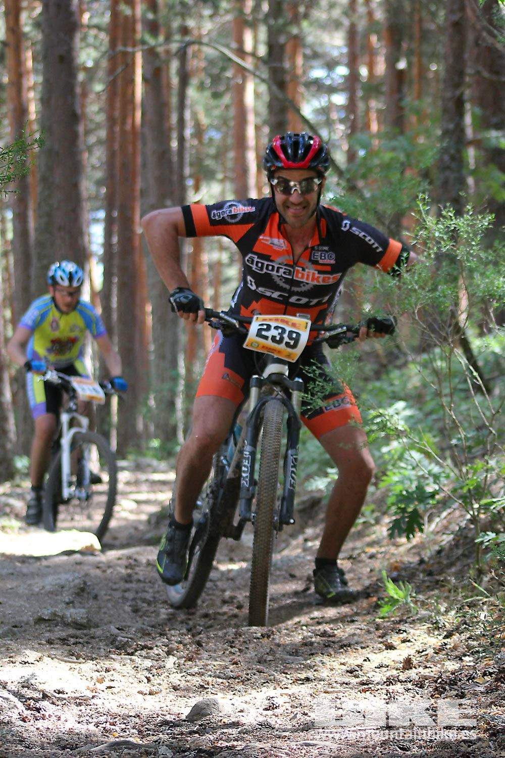 BIKE Maratón Sierra de Madrid 2015 Galería 7