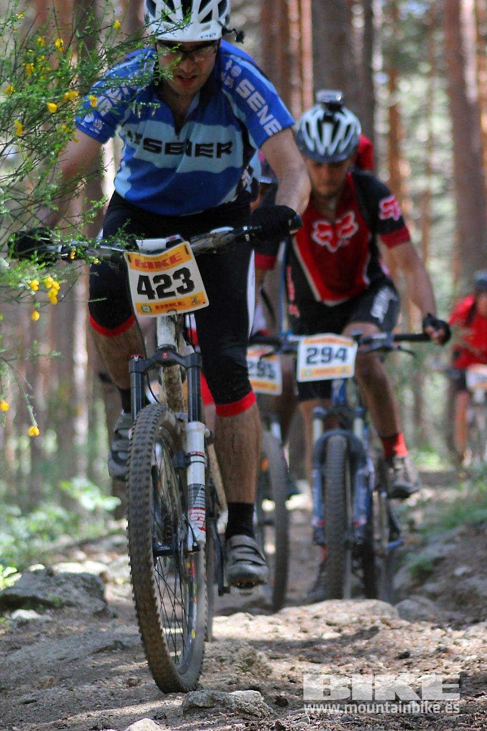 BIKE Maratón Sierra de Madrid 2015 Galería 8