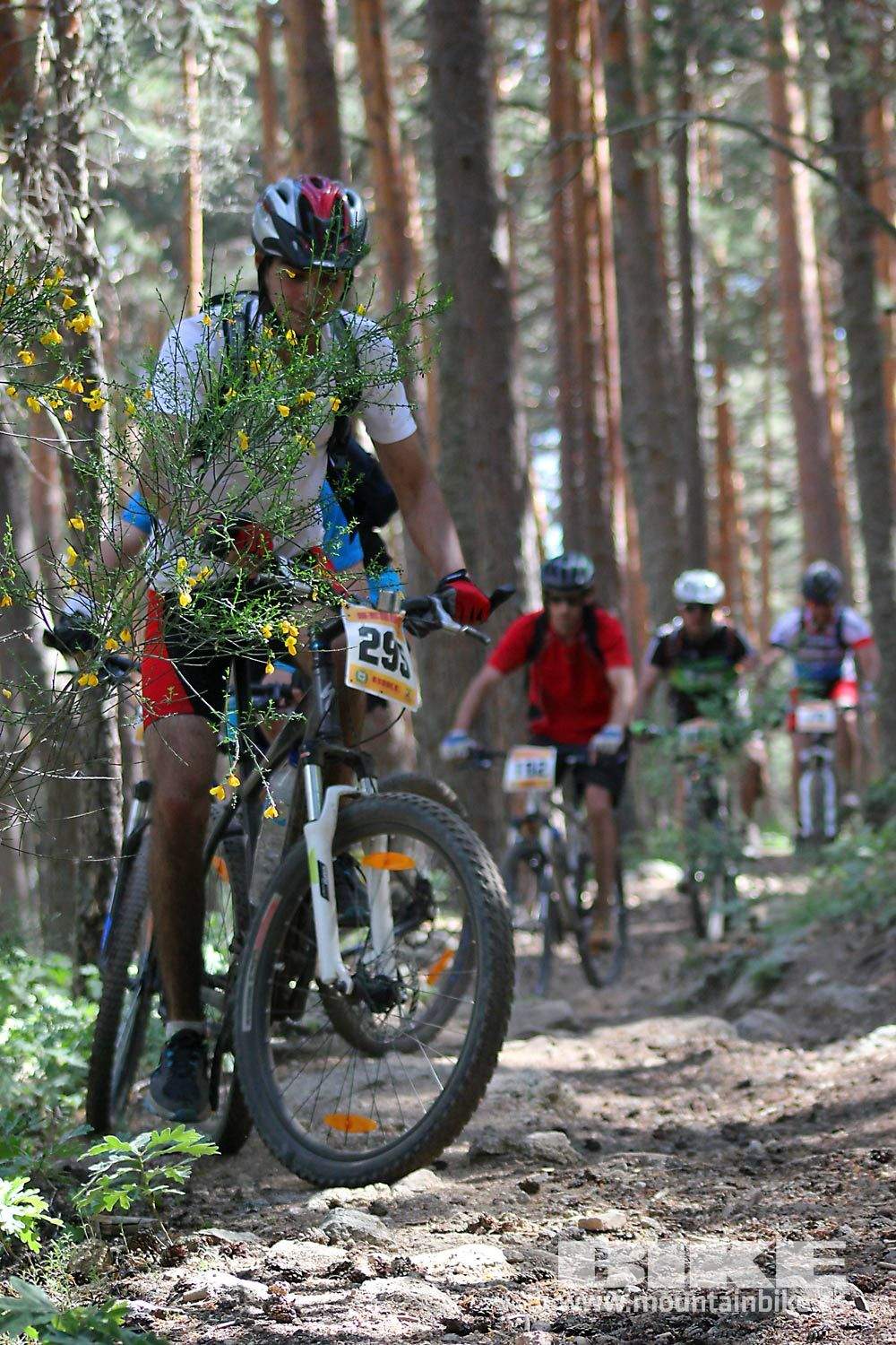 BIKE Maratón Sierra de Madrid 2015 Galería 8