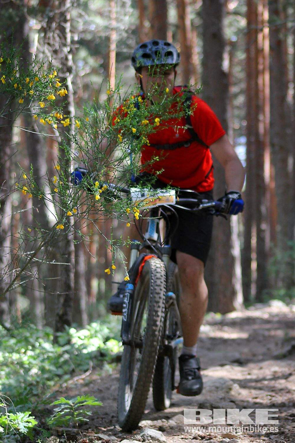BIKE Maratón Sierra de Madrid 2015 Galería 8