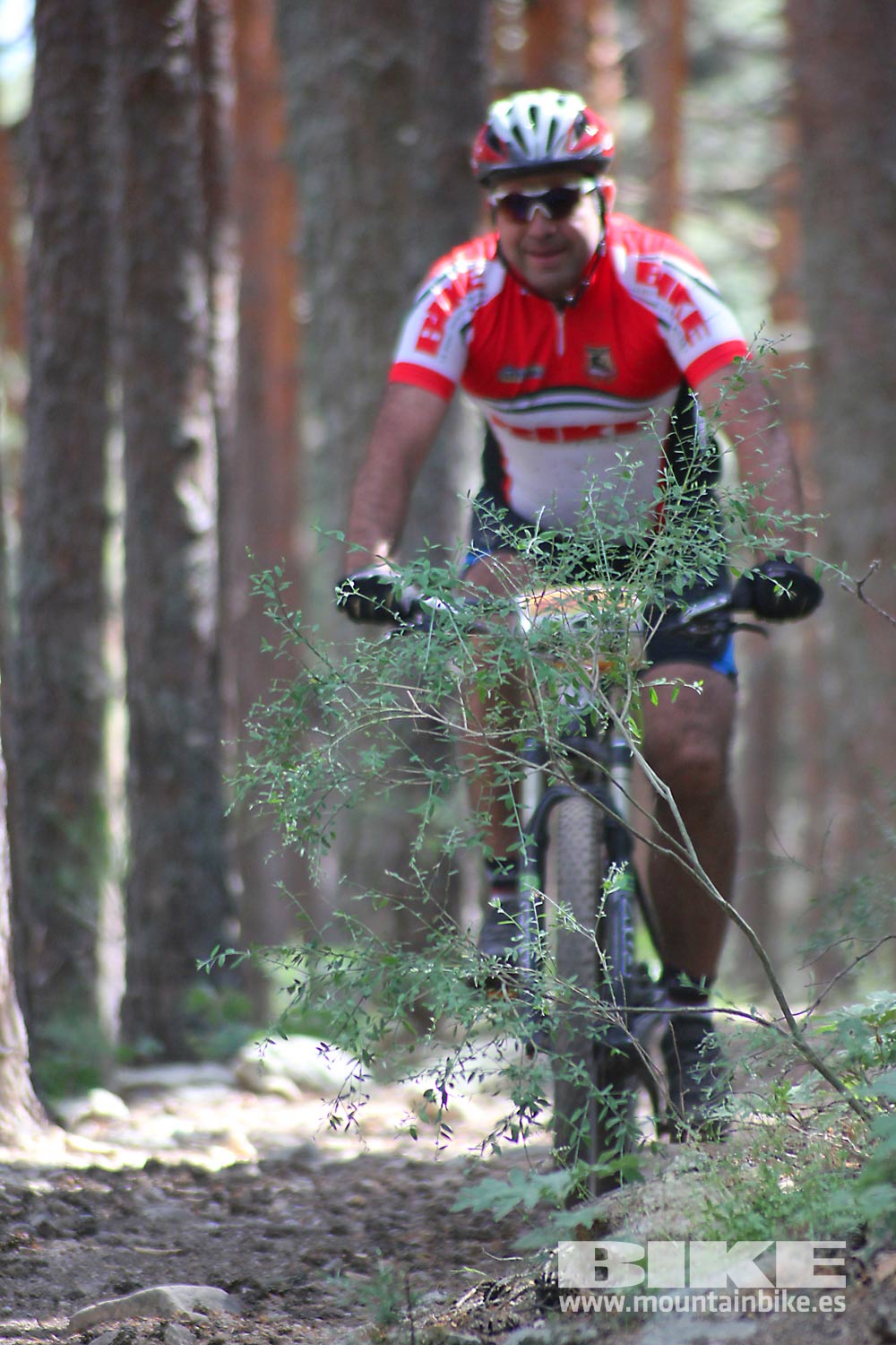 BIKE Maratón Sierra de Madrid 2015 Galería 8