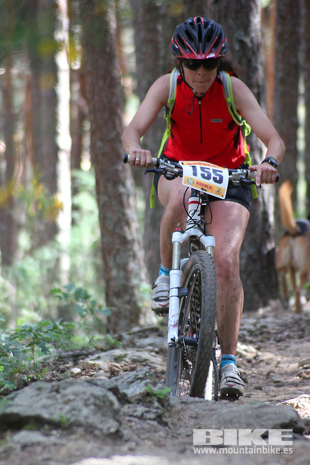 BIKE Maratón Sierra de Madrid 2015 Galería 8
