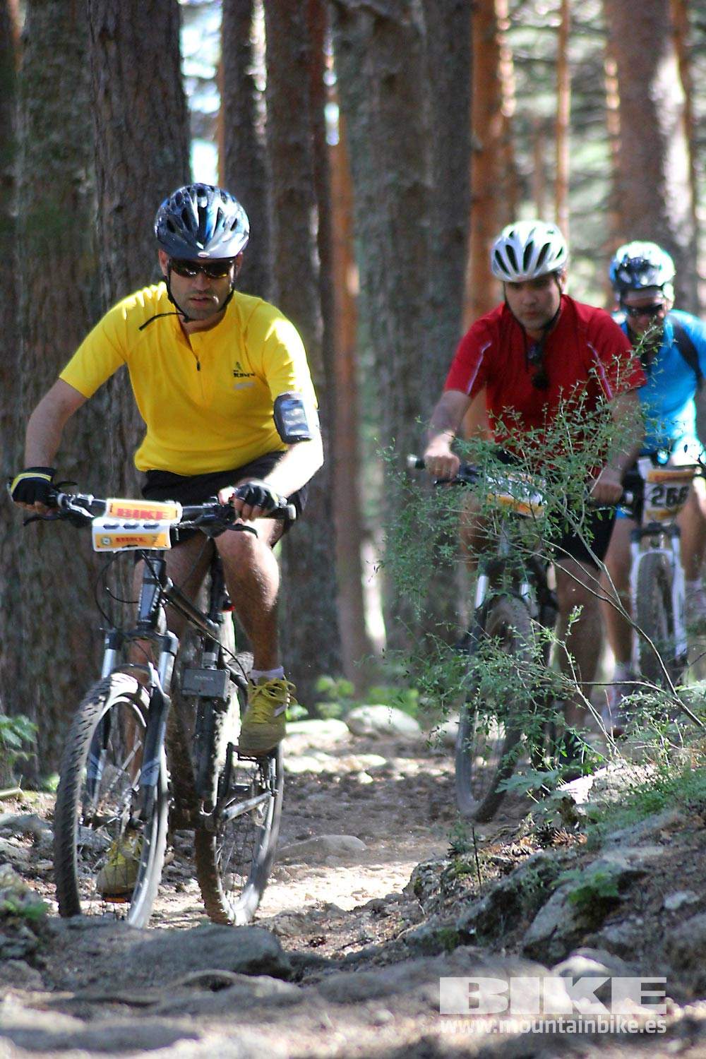 BIKE Maratón Sierra de Madrid 2015 Galería 9