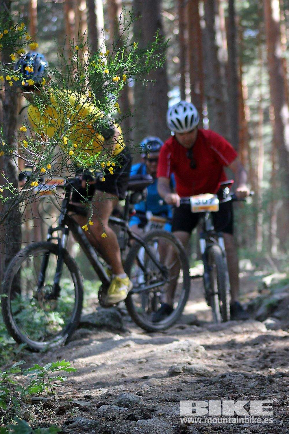 BIKE Maratón Sierra de Madrid 2015 Galería 9