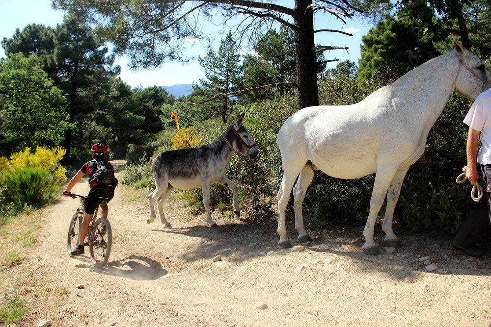 BIKE Maratón Sierra de Madrid 2015 Galería 10