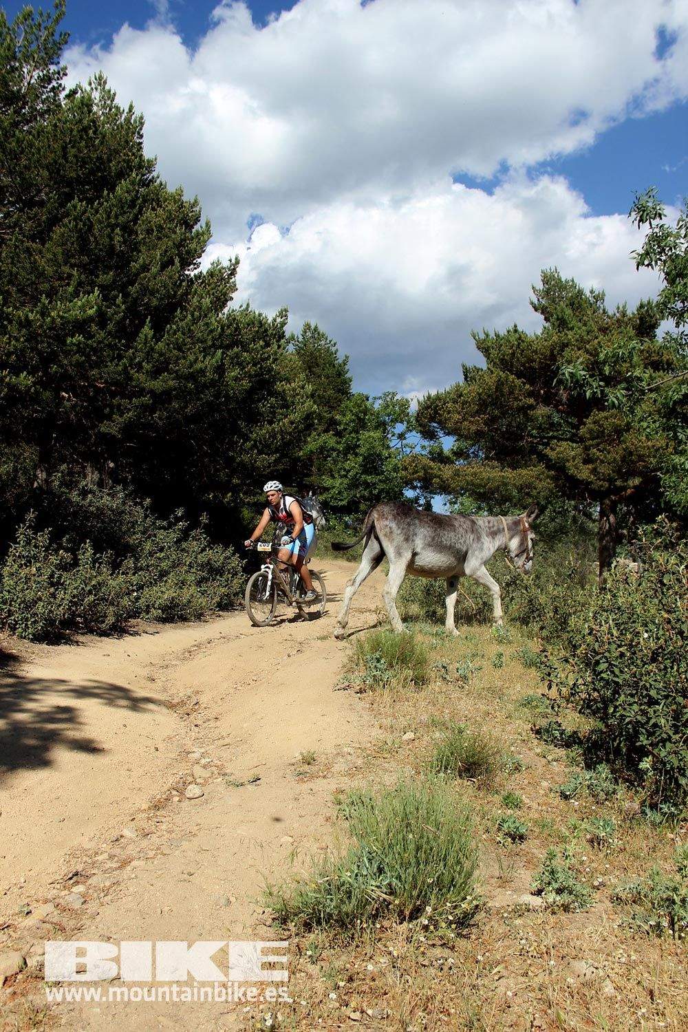 BIKE Maratón Sierra de Madrid 2015 Galería 10