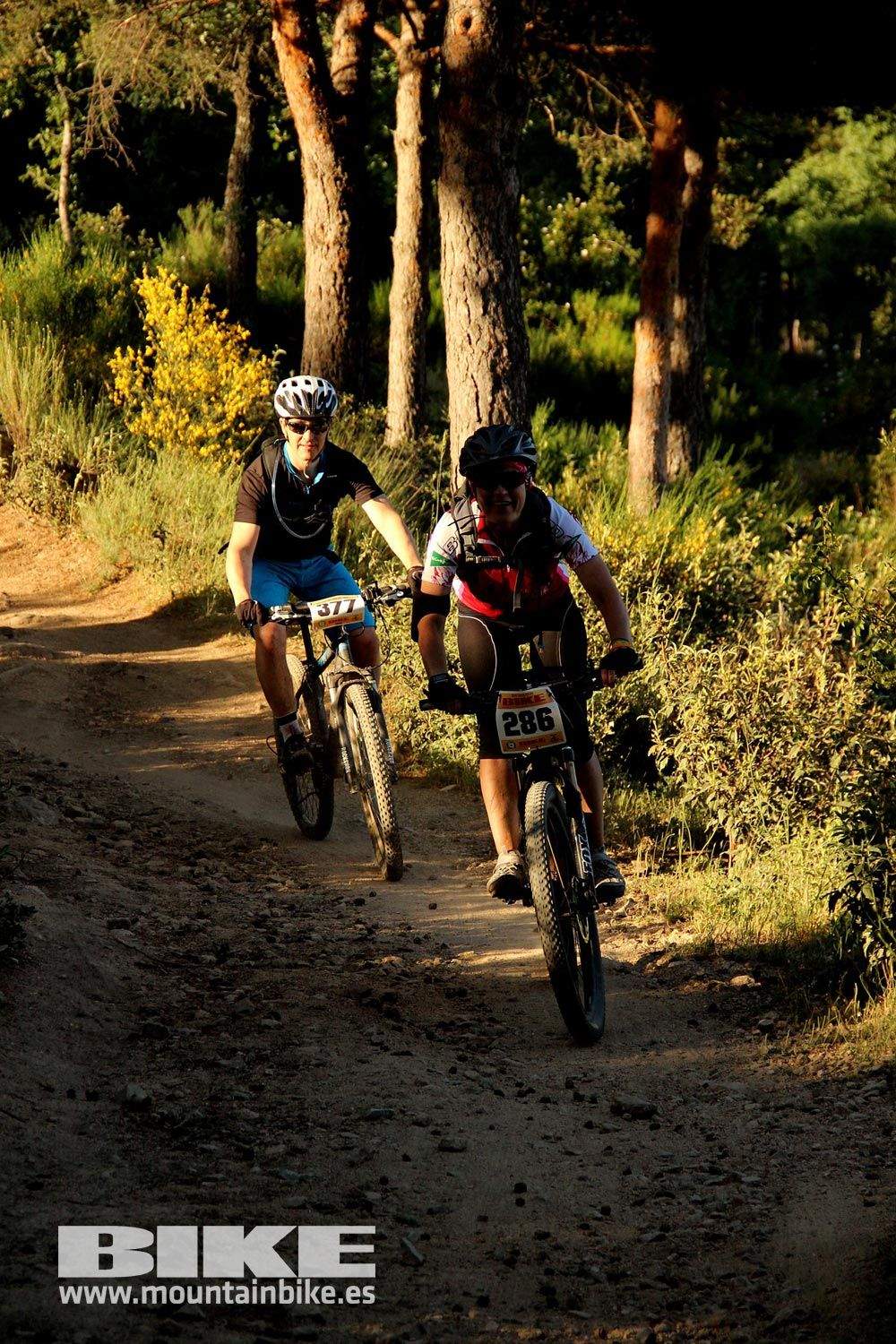 BIKE Maratón Sierra de Madrid 2015 Galería 14