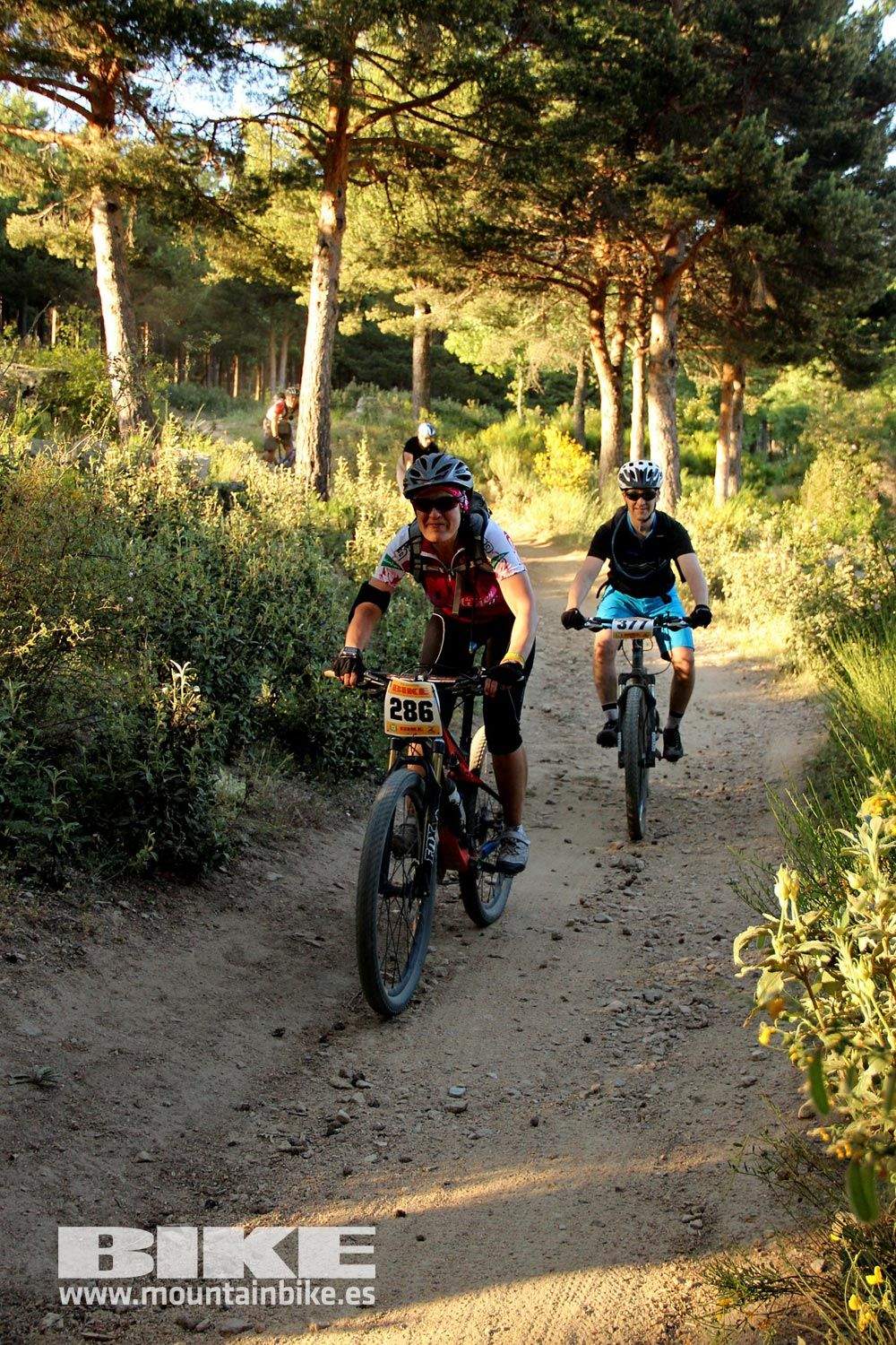 BIKE Maratón Sierra de Madrid 2015 Galería 14