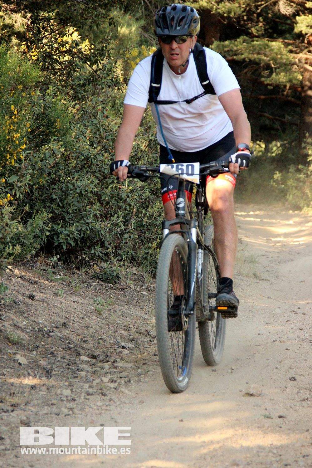 BIKE Maratón Sierra de Madrid 2015 Galería 14