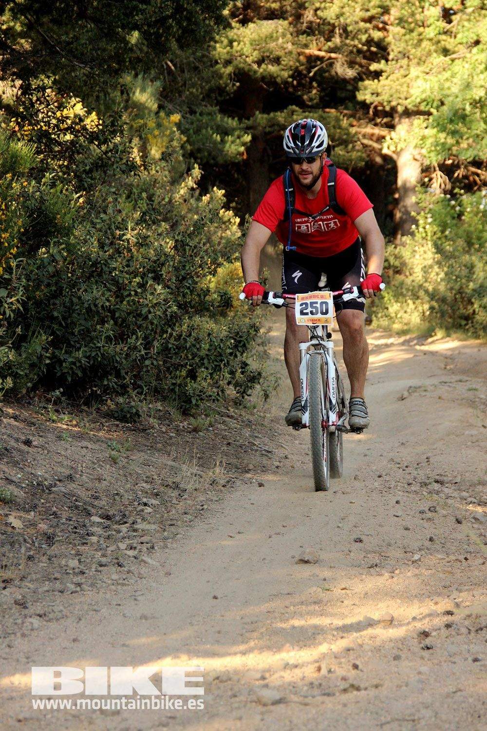 BIKE Maratón Sierra de Madrid 2015 Galería 14