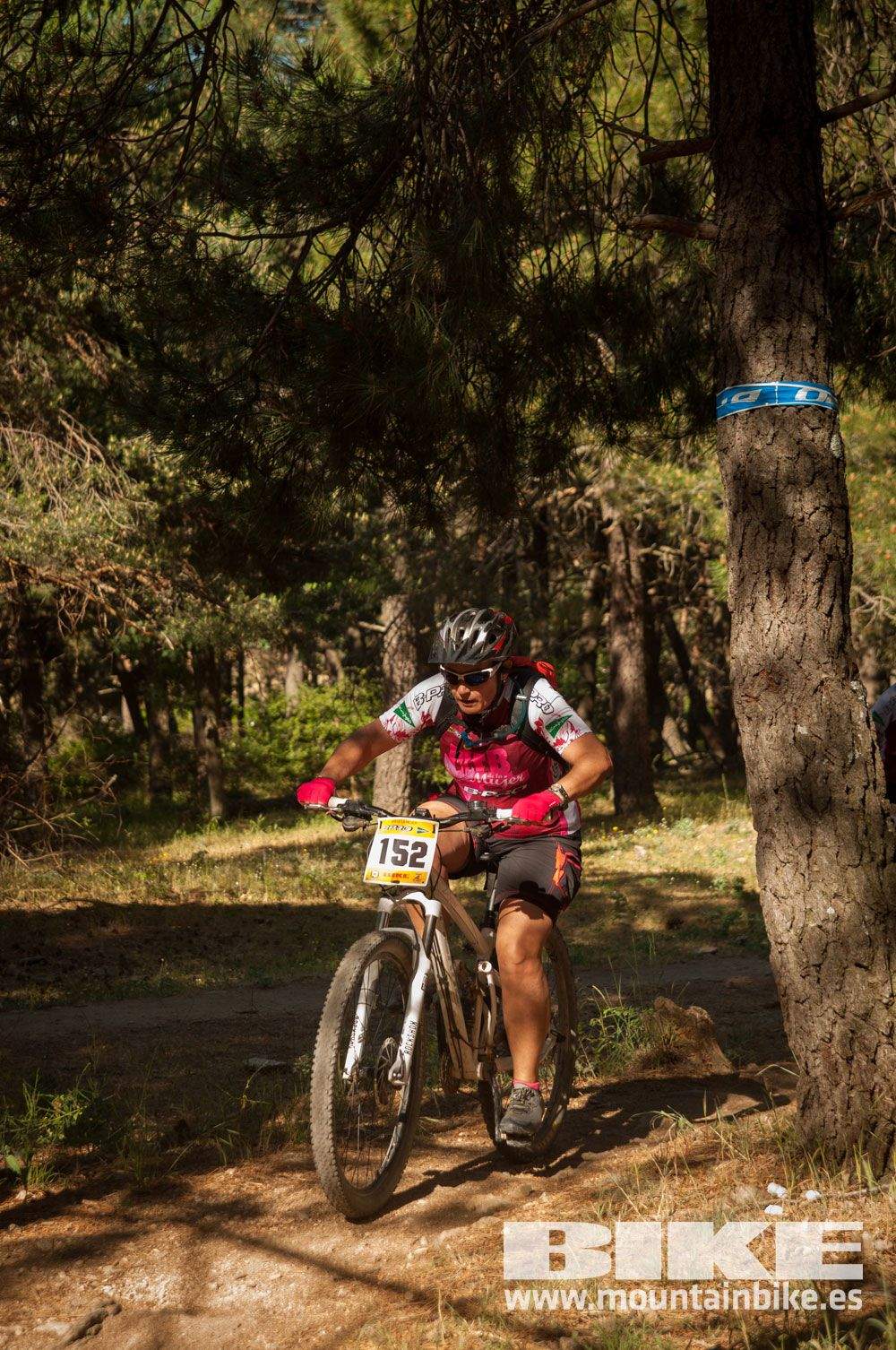 Test The Best 2015 MTB Mujer 5