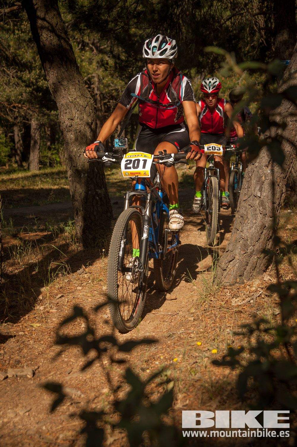 Test The Best 2015 MTB Mujer 5