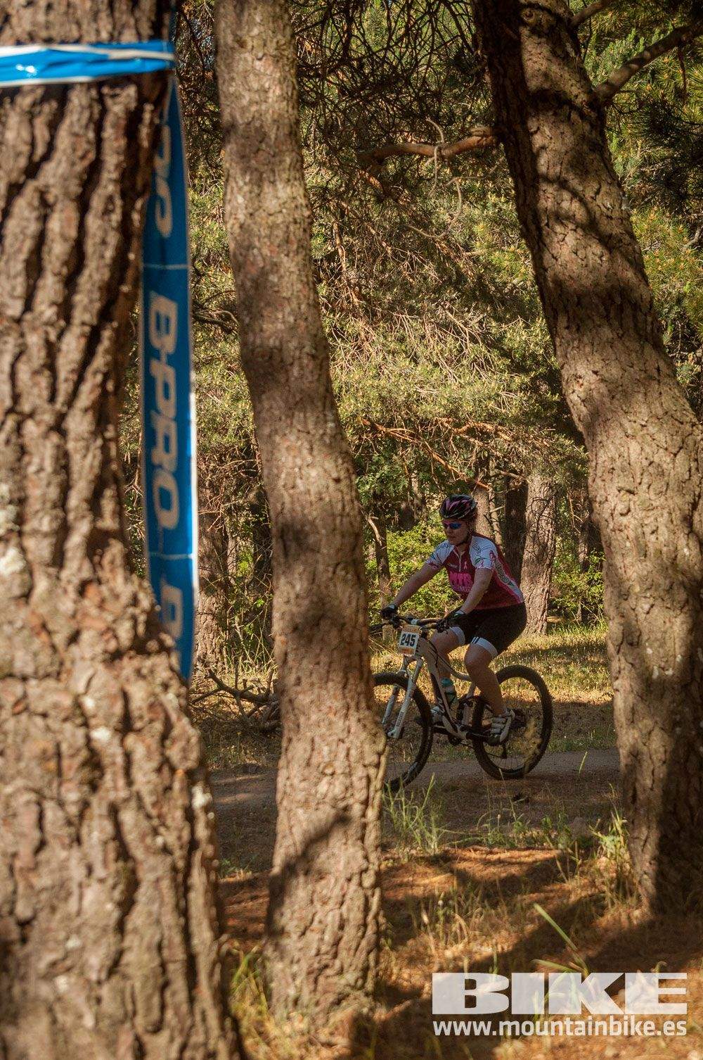 Test The Best 2015 MTB Mujer 5