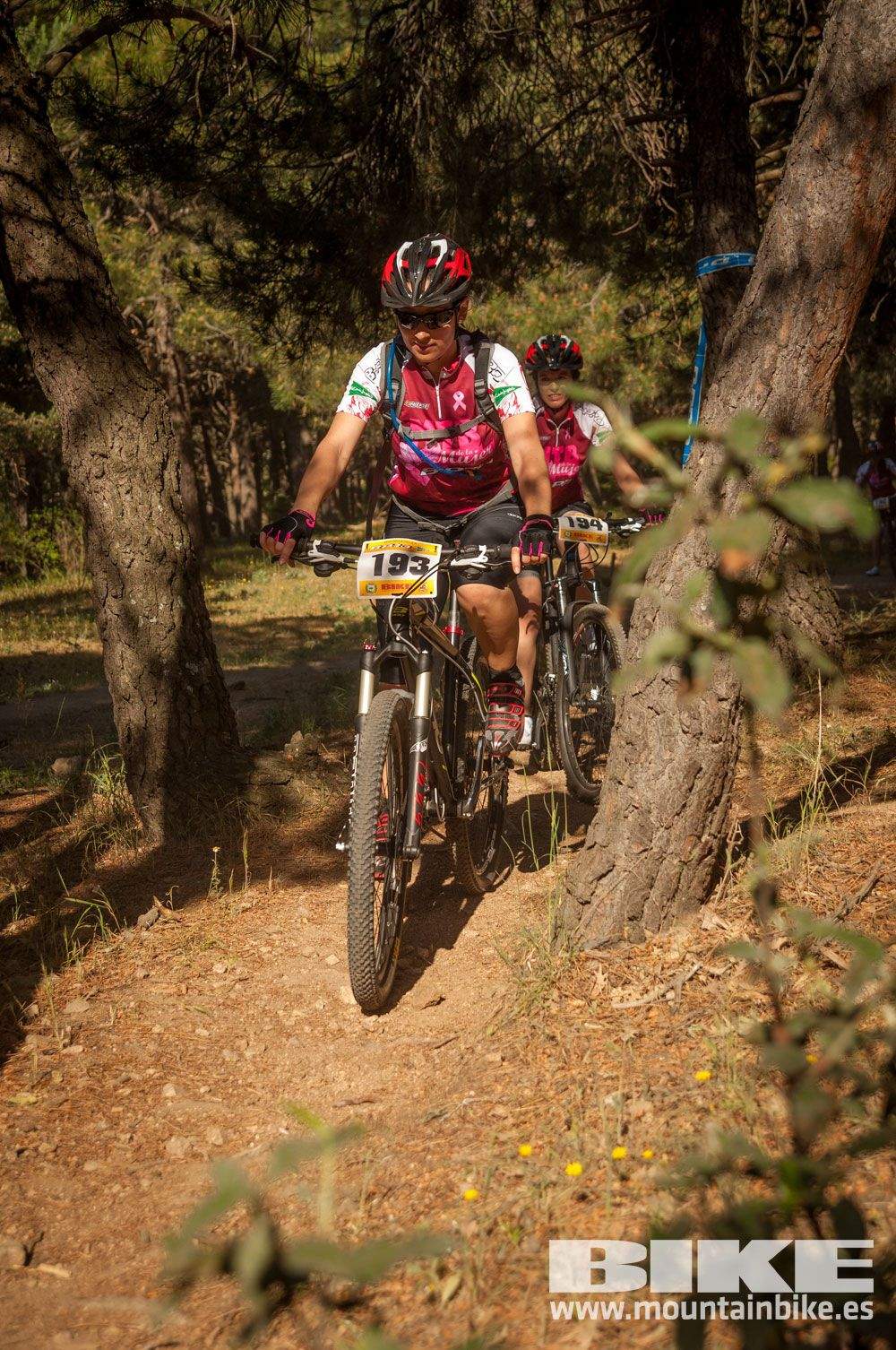 Test The Best 2015 MTB Mujer 5