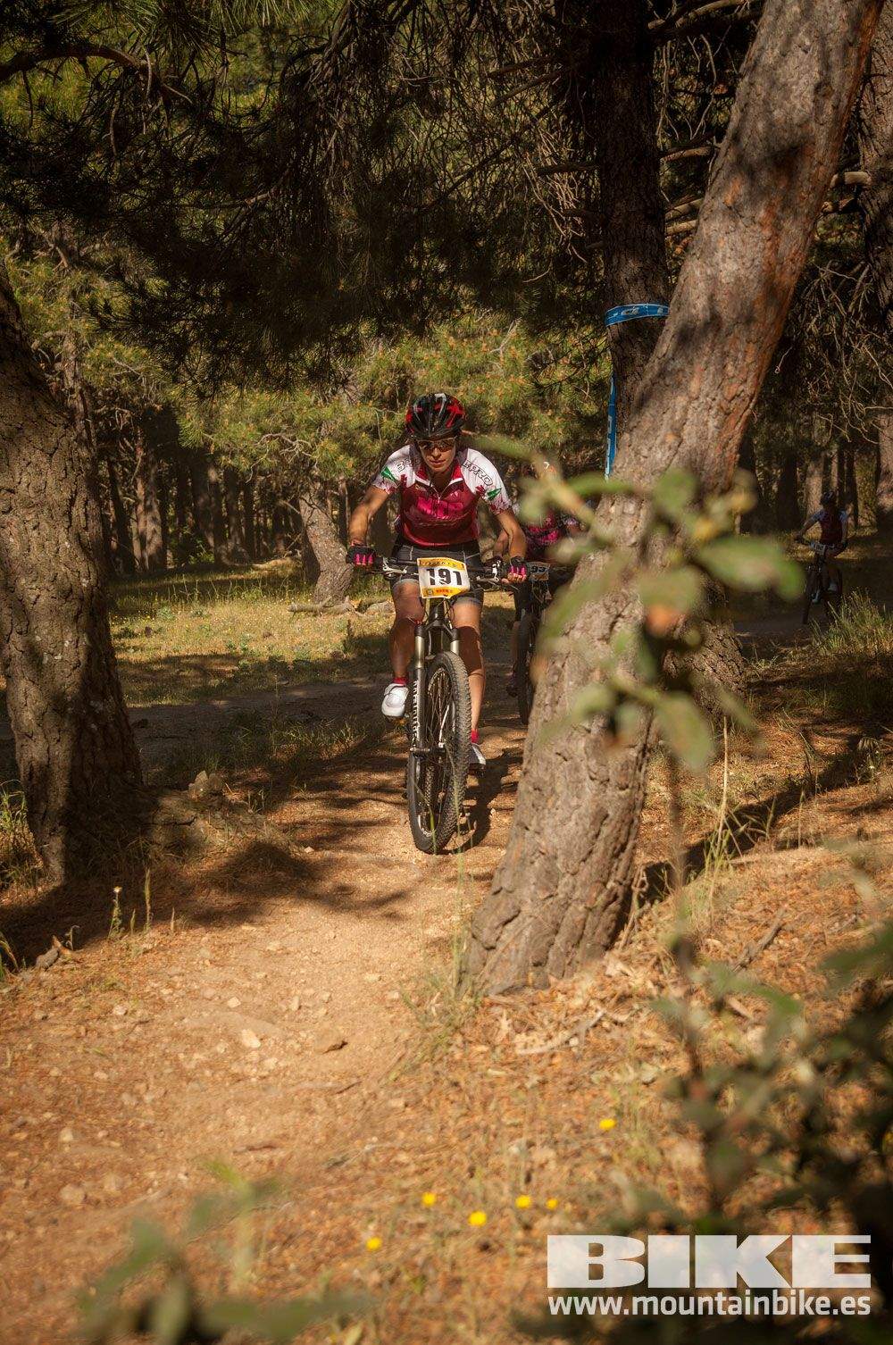 Test The Best 2015 MTB Mujer 5